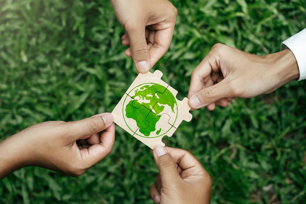 Sustainability: The New Industry Standard